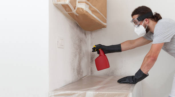 Professional Mold Testing technician working in Hyde Park, MA